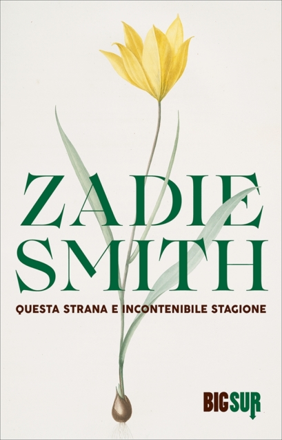 questa strana e incontenibile stagione Zadie Smith